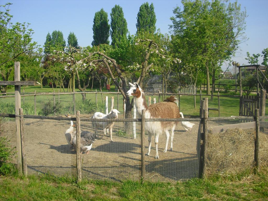 Agriturismo La Penisola Campo San Martino Exterior foto